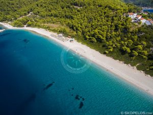Skopelos Beaches, Milia Beach skopelos, οργανωμένες παραλίες στην Σκόπελο