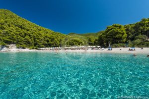 παραλία καστάνη, παραλίες στη Σκόπελο, διακοπές στην Σκόπελο, πράσινο νησί