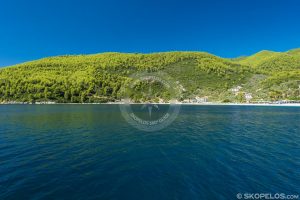 Foto di Seaview della spiaggia del villaggio di Skopelos Panormos