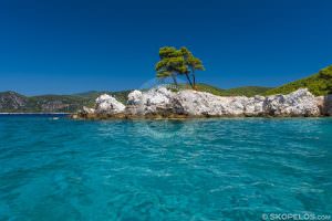 playa amarandos, la playa de los tres árboles, playas de skopelos