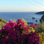 Skopelos com Pigi Cottage Stafilos Skopelos houses