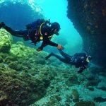skopelos scuba diving dive ცენტრი სპორადების diving