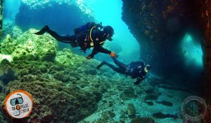 skopelos dykning dykke center sporader dykning