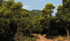 elios neo climat skopelos, randonnées skopelos, villages skopelos