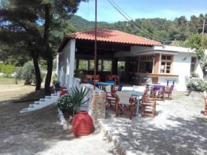 plaja milia, plaje skopelos, taverne milia., restaurant milia