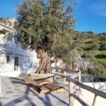 Casa christine di Skopelos
