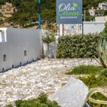 Skopelos olia yaşıl yaşayış evi