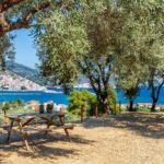 Apartamento en el olivar de Skopelos