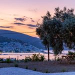 Apartamento en el olivar de Skopelos