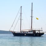 スコペロスのスコペロス海の遠足イルカ