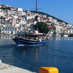 Excursión por el mar de Skopelos dolphin of skopelos