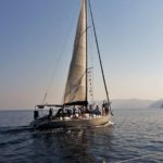 Excursión por el mar de Skopelos dolphin of skopelos