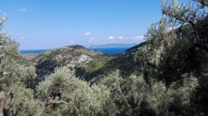 Caminhada em Skopelos