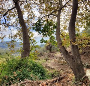 Wędrówki trekkingowe na Skopelos, 10 rzeczy, o których każdy miłośnik fitnessu odwiedzający Skopelos musi wiedzieć
