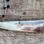 Skopelos antonis ampelakias produttore di coltelli per coltelli