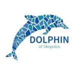 skopelos delphin no skopelos tūrisma biroja ceļojumu aģentūras