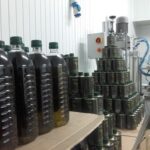huile d'olive skopelos famille antonio