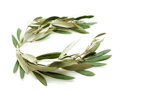 Skopelos Olympic Games Olive Tee