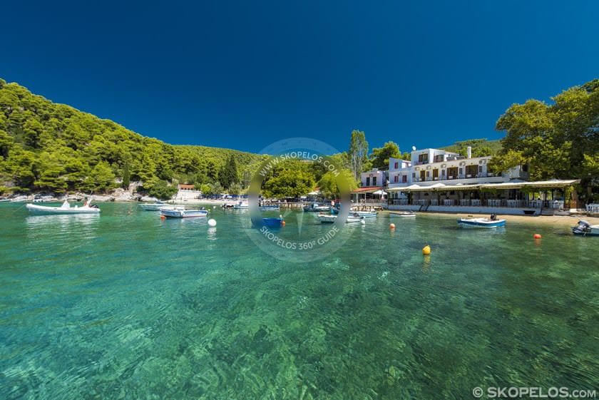 Αγνώντας Στη Σκόπελο, Αγνώντας Παραλία Σκόπελος, Το Λιμάνι Του Αγνώντα, Ταβέρνες Στον Αγνώντα