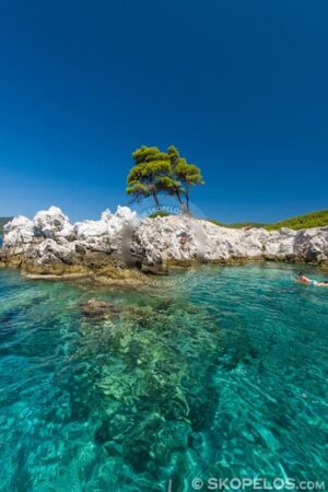 Skopelos Amarantos Seaview Photo