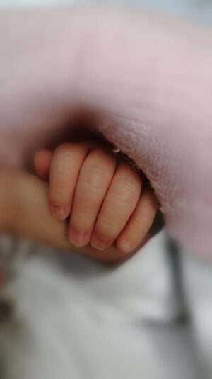 Γέννηση Στη Σκόπελο, Γέννηση Σκόπελος, Πολιτισμός Γέννα, Κουλτούρα Έθιμα Παράδοση