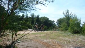 Σκόπελος Cycling, Ποδηλασία, Ποδήλατο, Bicycles, Ενοικιάσεις Ποδηλάτων, Ενοικίαση Ποδήλατα, Αιγαιο Βόρειες Σποράδες