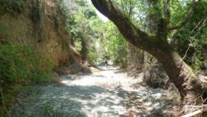 Σκόπελος Cycling, Ποδηλασία, Ποδήλατο, Bicycles, Ενοικιάσεις Ποδηλάτων, Ενοικίαση Ποδήλατα, Αιγαιο Βόρειες Σποράδες