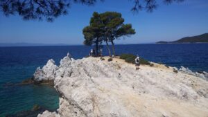 Σκόπελος Cycling, Ποδηλασία, Ποδήλατο, Bicycles, Ενοικιάσεις Ποδηλάτων, Ενοικίαση Ποδήλατα, Αιγαιο Βόρειες Σποράδες