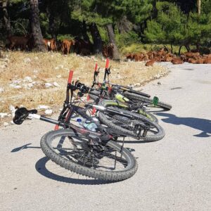 Skopelos Cycling Biking Bicycle