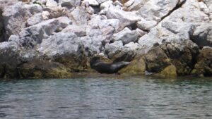 Skopelos Kayaking Kayak