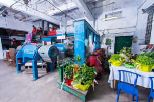 Skopelos Artists Xenia Marlitsi Painter 97