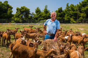 Skopelos Local Products Gerakis Goat Cheese Katiki Ladotiri Trahanas Milk
