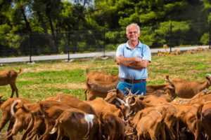 Skopelos Local Products Gerakis Goat Cheese Katiki Ladotiri Trahanas Milk