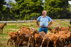 Skopelos Local Products Gerakis Goat Cheese Katiki Ladotiri Trahanas Milk