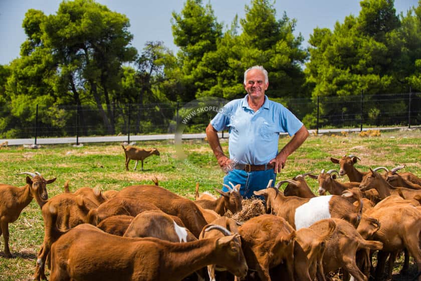 Gerakis Spyros – Michalis