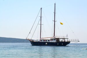 Skopelos Sea Excursion Dolphin Of