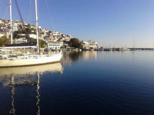 Skopelos Sea Excursion Dolphin Of