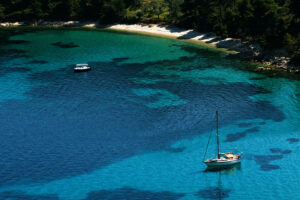 Skopelos Sea Excursion Dolphin Of