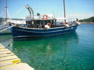 Skopelos Sea Excursion Dolphin Of