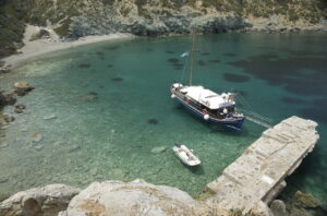 Skopelos Sea Excursion Dolphin Of