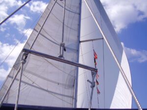 Skopelos Sea Excursion Dolphin Of