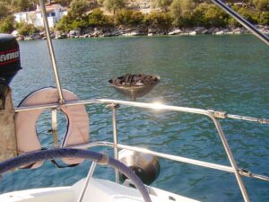 Skopelos Sea Excursion Dolphin Of