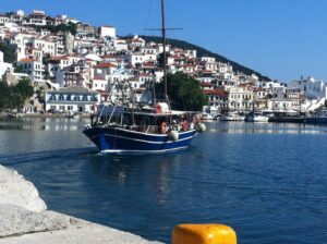 Skopelos Sea Excursion Dolphin Of