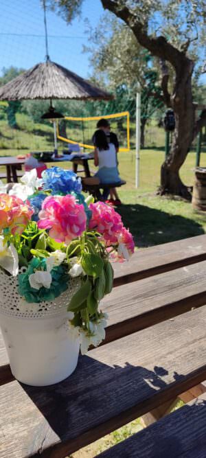 Skopelos Stafylos Adventure Park