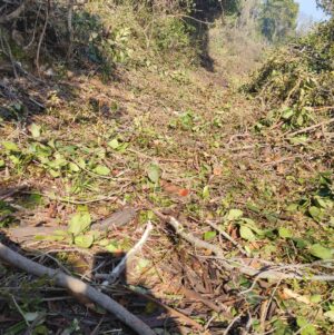 Skopelos Trekking Hiking