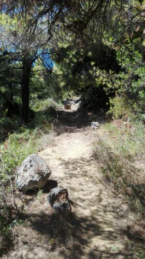 Skopelos Trekking Hiking