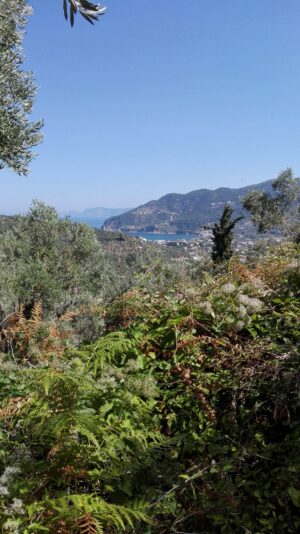 Skopelos Trekking Hiking