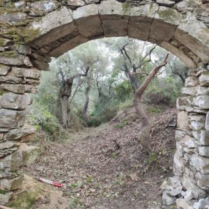 Skopelos Trekking Hiking