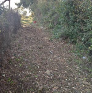 Skopelos Trekking Hiking