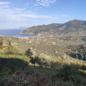 Skopelos Trekking Hiking